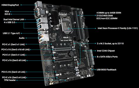 c246 motherboard|Pro WS C246.
